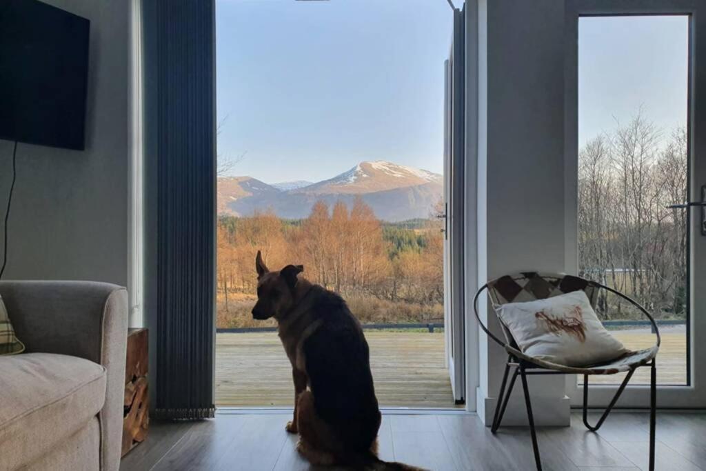 Ben Nevis Scotland Highlands, Camden House Luxury Home Fort William Extérieur photo