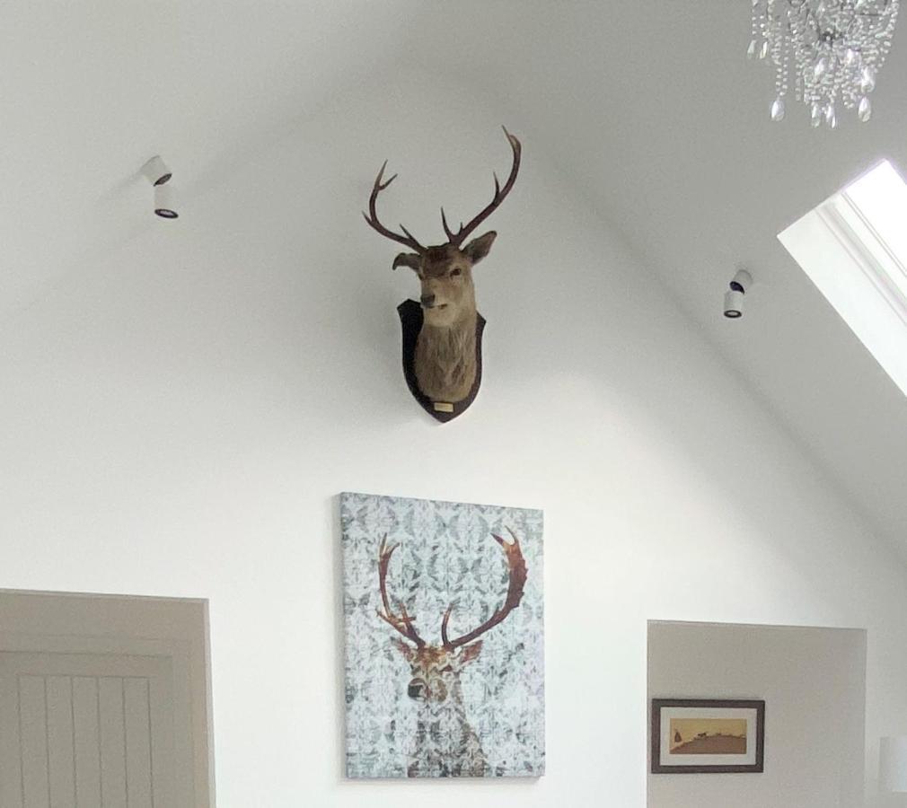 Ben Nevis Scotland Highlands, Camden House Luxury Home Fort William Extérieur photo
